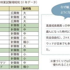 木の耐久性のはなし。
